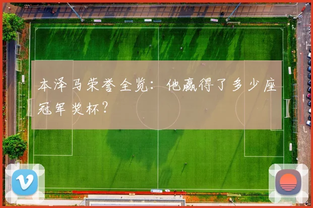 本泽马荣誉全览：他赢得了多少座冠军奖杯？