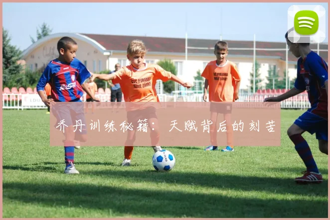 乔丹训练秘籍：天赋背后的刻苦